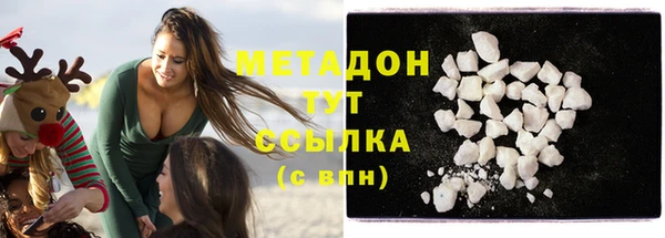 прущие грибы Ладушкин