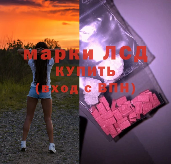 прущие грибы Ладушкин