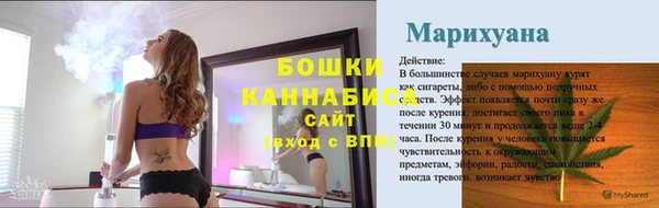 прущие грибы Ладушкин