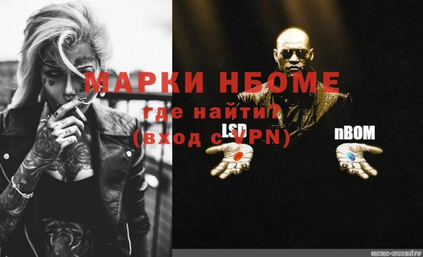 прущие грибы Ладушкин