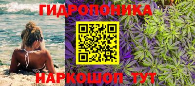 эйфоретик Ивантеевка