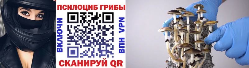 Псилоцибиновые грибы GOLDEN TEACHER  Раменское 