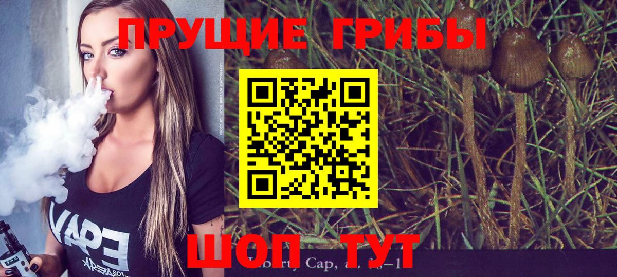Раменское  Галлюциногенные грибы ЛСД  Галлюциногенные грибы Magic Shrooms  Вход с VPN 