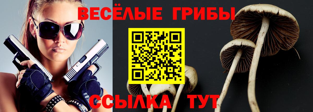 Галлюциногенные грибы мухоморы Раменское